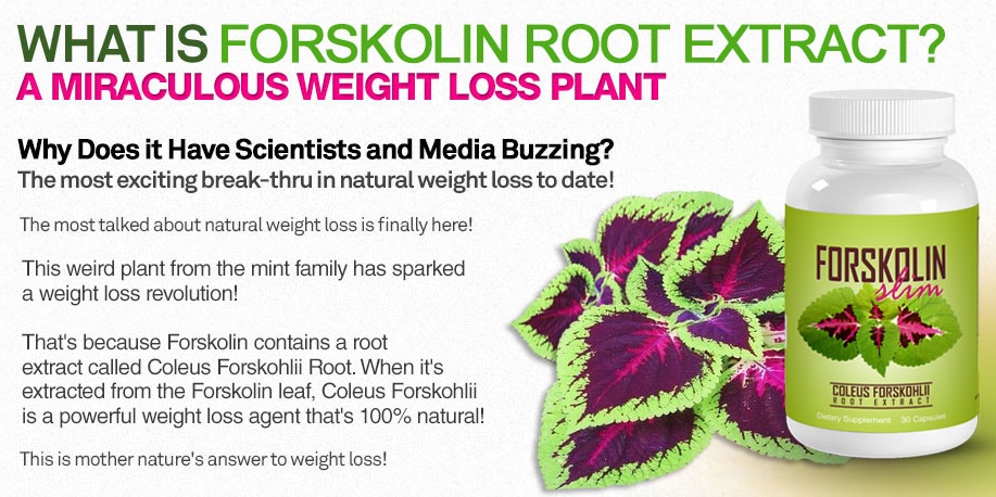 Order forskolin